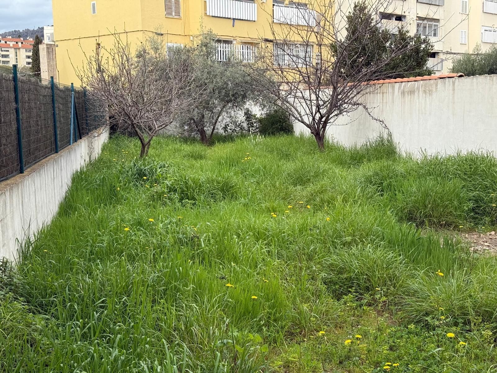 Planta baja for sale in  Palma de Mallorca  with Terrace