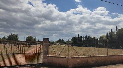 Foto 2 de Terreno en venta en Avinguda de Gabriel Alomar, 168, El Sindicat, Palma de Mallorca