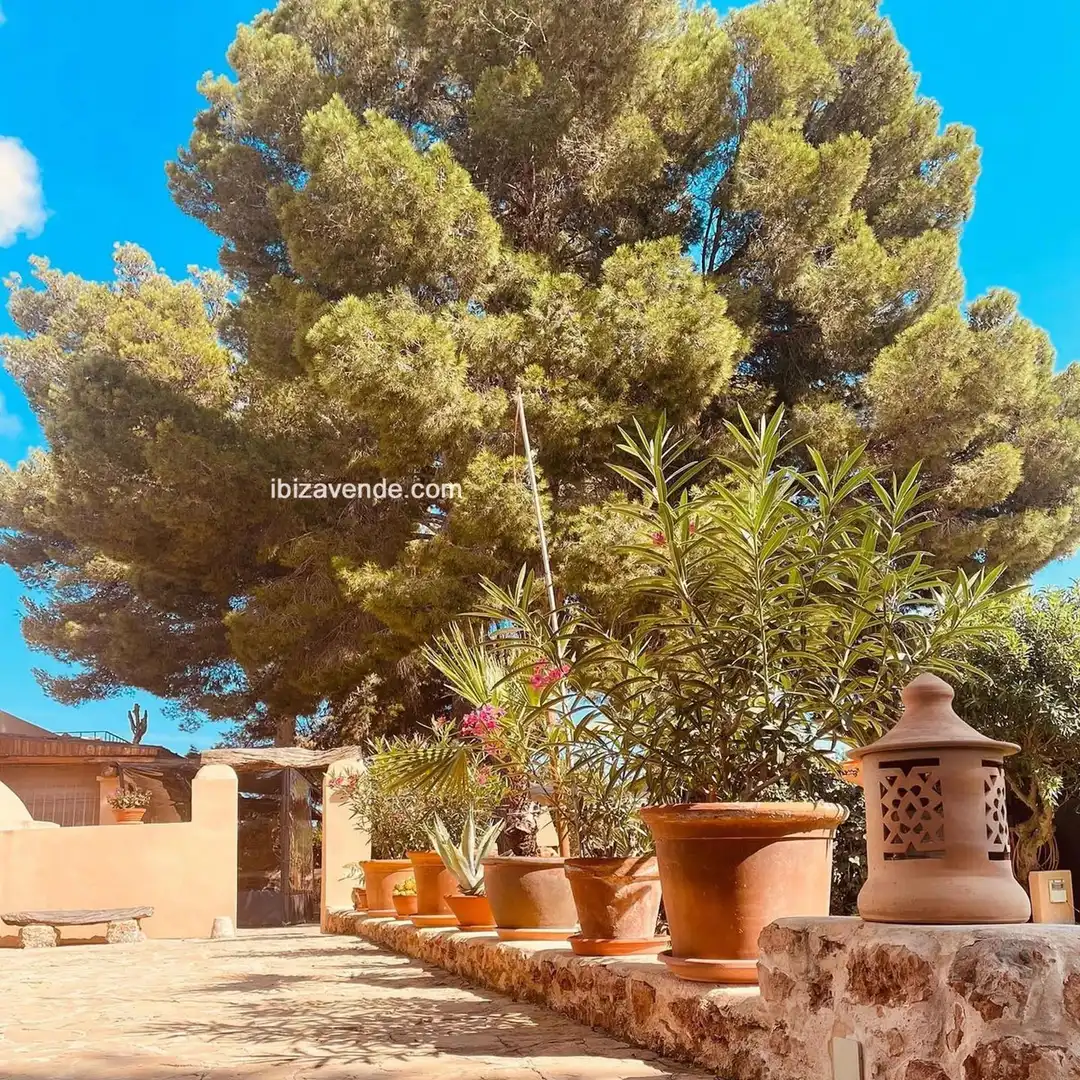 Houses for rent in Carrer del Tudó, Sant Jordi de Ses Salines - Sant Francesc