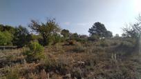 Land for sale in Casco Antiguo, imagen 3