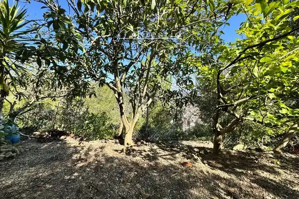 Terreny residencial en venda a Avinguda Mirador, imagen 16