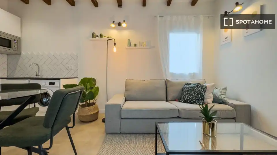 Piso con terraza en alquiler en Ciutat Vella, imagen 8