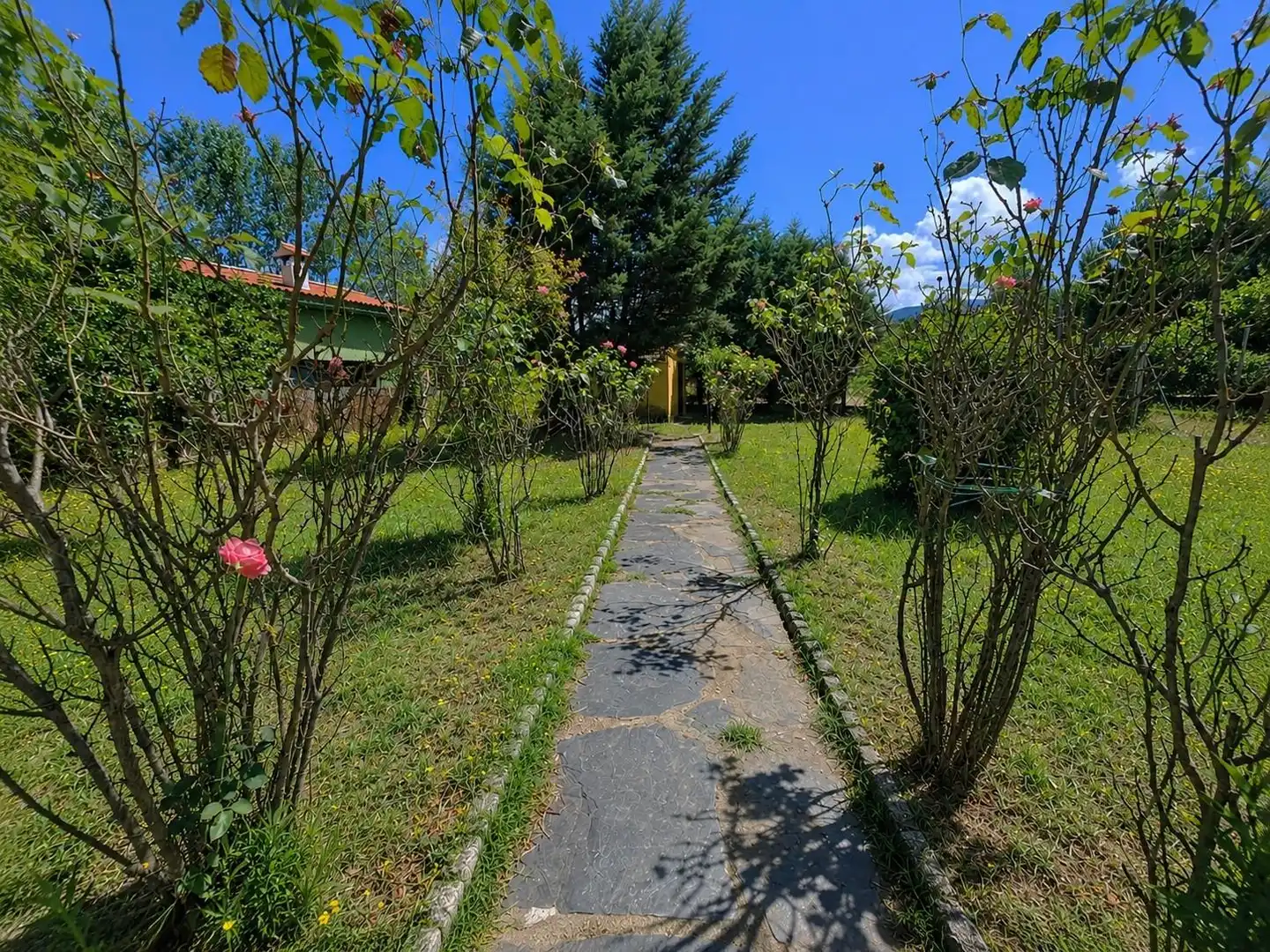 Jardín de Casa o chalet en venta en Casas del Castañar con Jardín privado, Trastero y Piscina