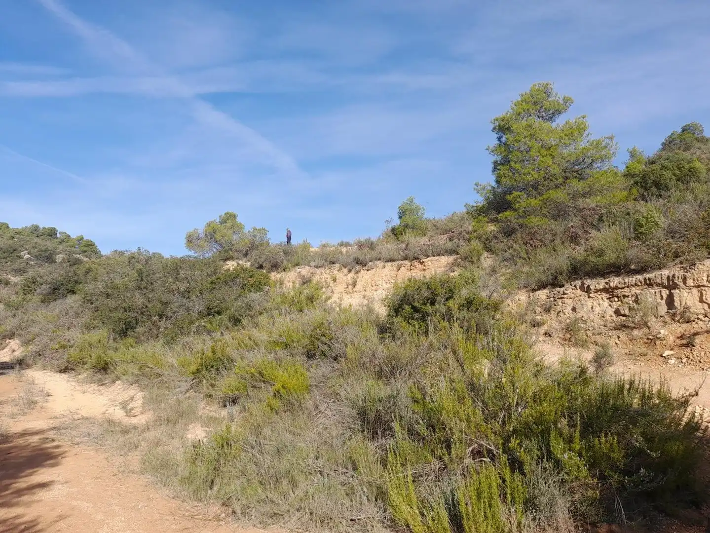 Land for sale in La Palma d'Ebre