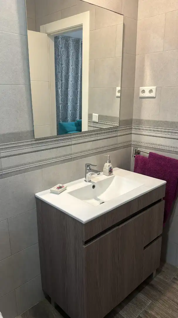 Bathroom of Apartments for rent in Málaga  with Air Conditioner, Terrace and Furnished