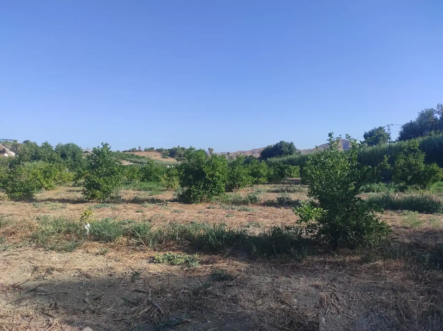 Terreno rustico in vendita a Villafranco del Guadalhorce, imagen 8