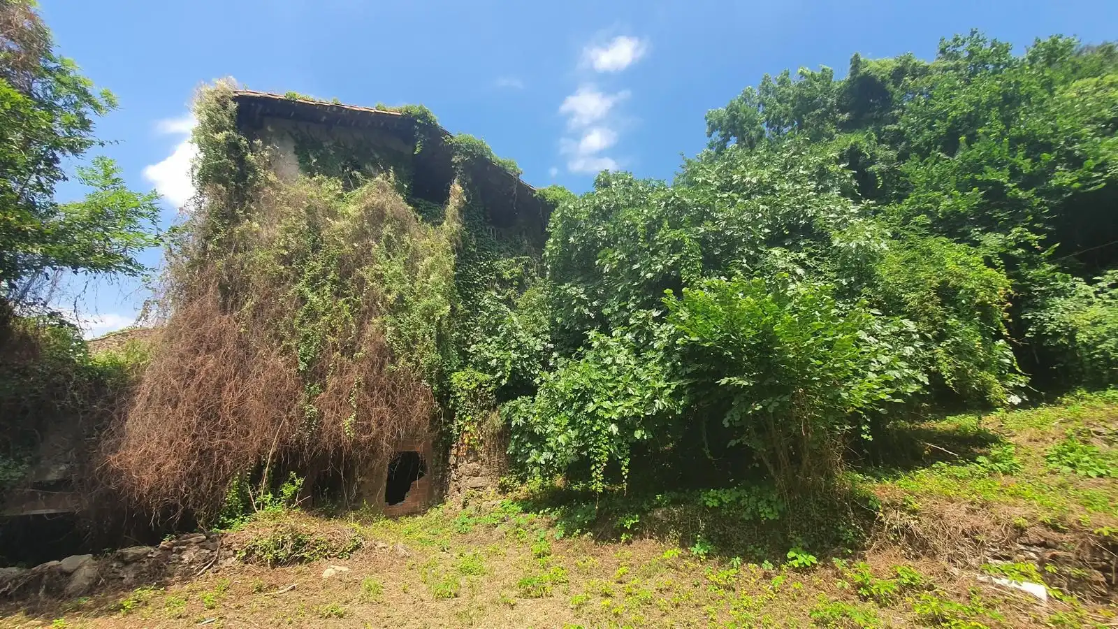 Casa rústica en venda a Les Preses, imagen 21