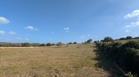 Photo 4 of Land for sale in Polígono de Son Servera a Sant Llorenç, 15, Zona d'Interior, Son Servera