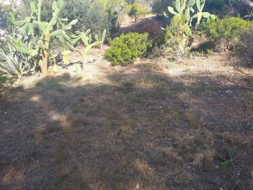 Residential land for sale in Pla de Maset - Cap de Salou, imagen 8