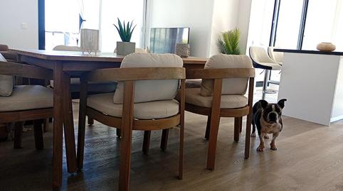 Foto 5 de Piso de alquiler en Avenida San Francisco, Loma de los Riscos, Torremolinos