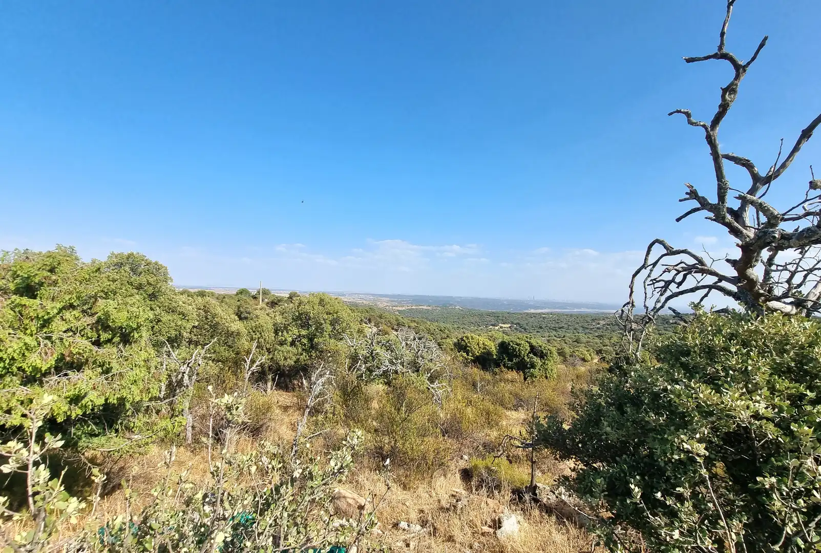 Land for sale in Colmenar Viejo