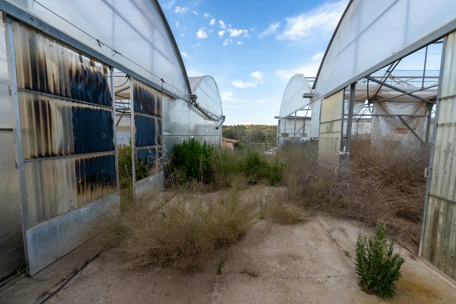 Exterior view of Land for sale in El Pinell de Brai
