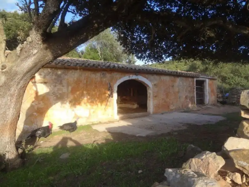 Maison avec terrasse à vendre à Alaior poble, imagen 14