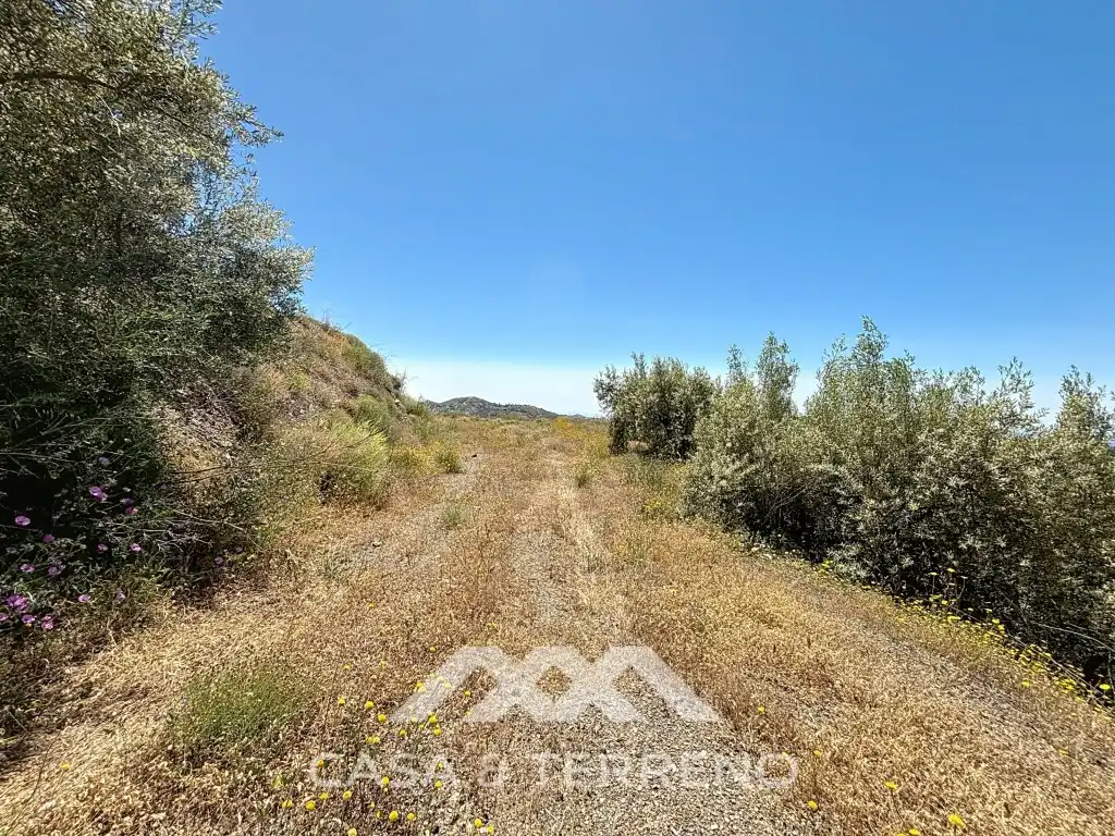 Land for sale in Canillas de Albaida
