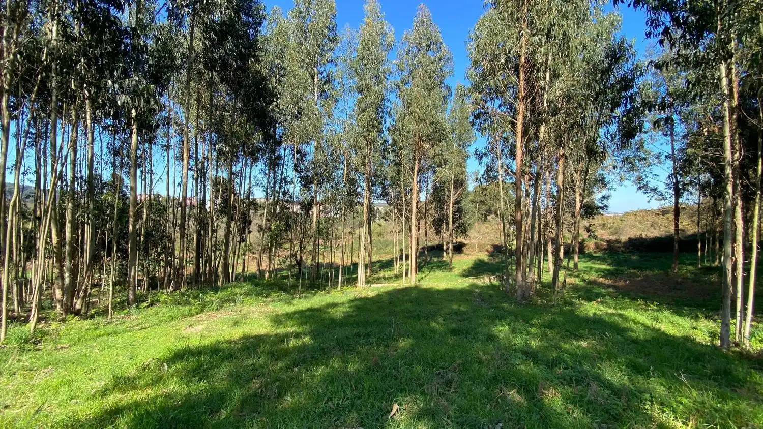 Terreni e lotti in vendita a Rúa Camiño dos Muiños 18, imagen 5