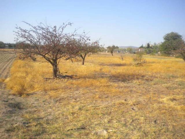 Terreno residencial en Venta en Camino ESPARRAGOSA en Villanueva de la Serena