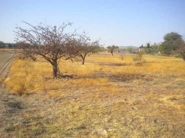 Terreny residencial en venda a Camino ESPARRAGOSA