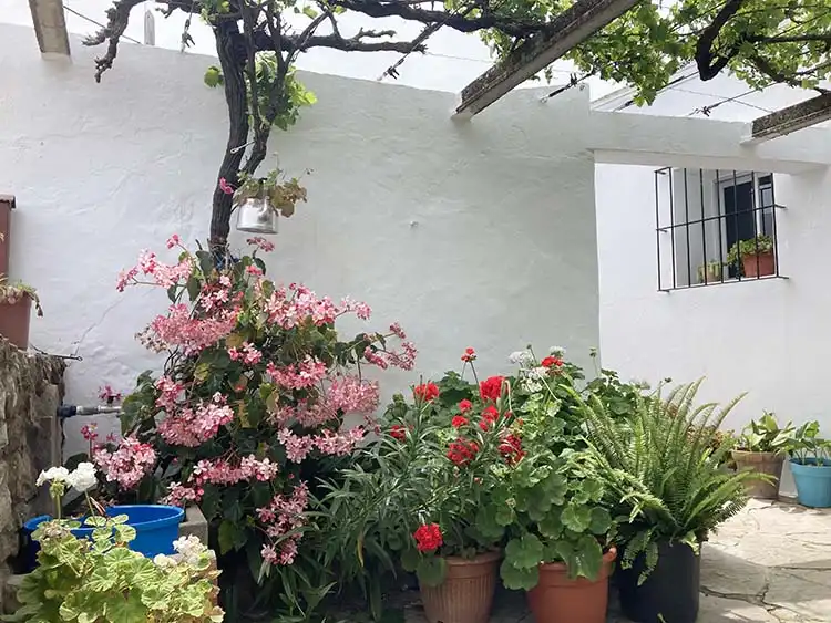 Country house with garden for sale in Tarifa ciudad, imagen 3
