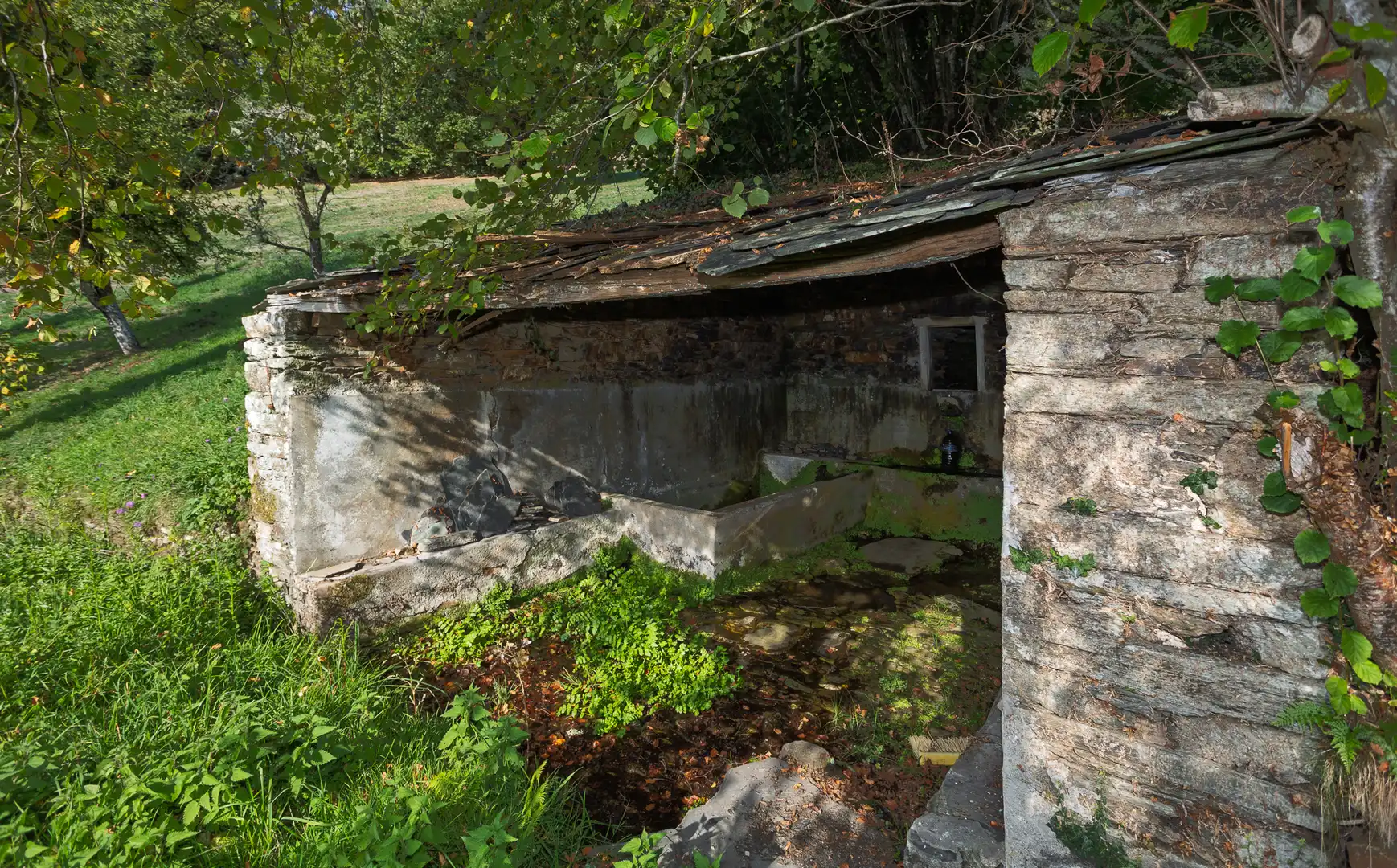 Vista exterior de Finca rústica en venta en A Fonsagrada  con Amueblado