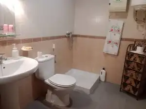 Casa rústica en venda a Tomelloso, imagen 11
