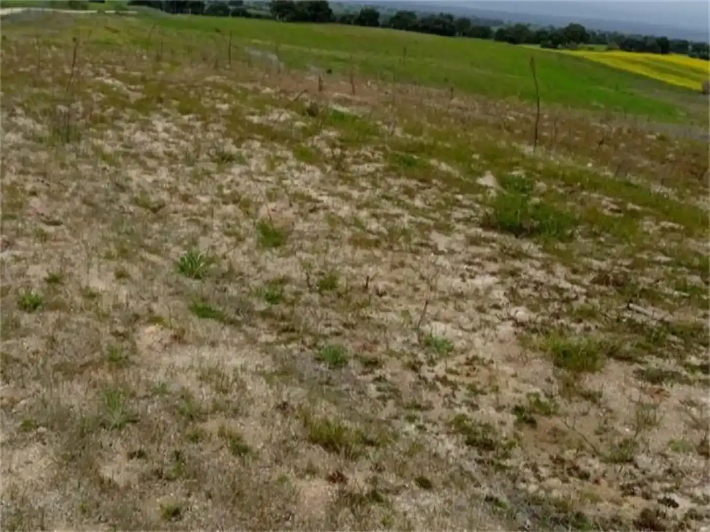 Land for sale in Escalona, Toledo