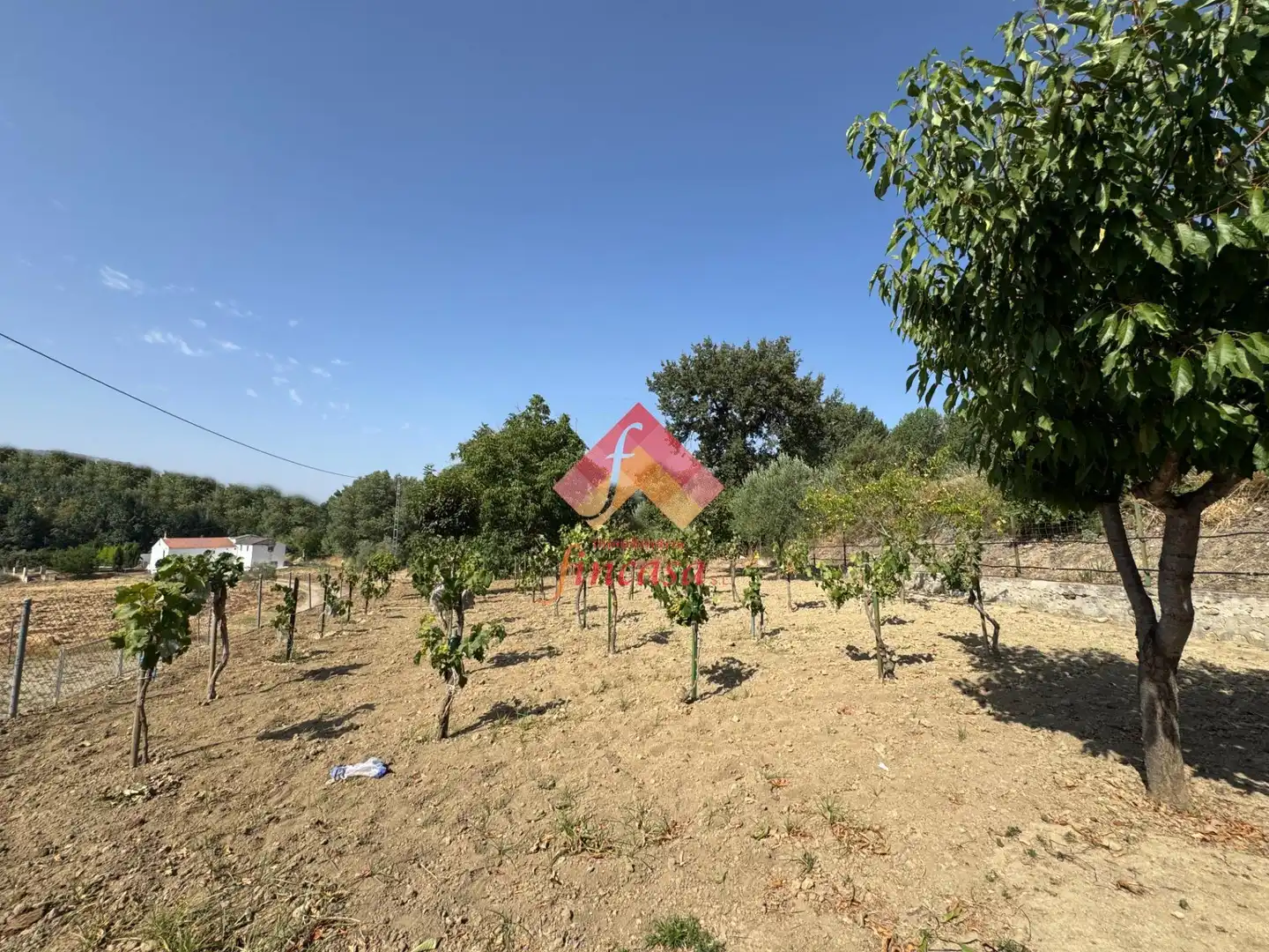Casa o xalet en venda en Ronda amb Aire condicionat, Calefacció i Jardí privat