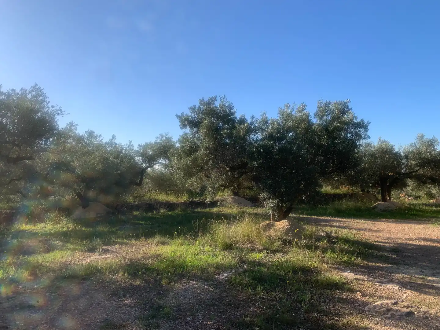 Finca rústica en venda en Camarles