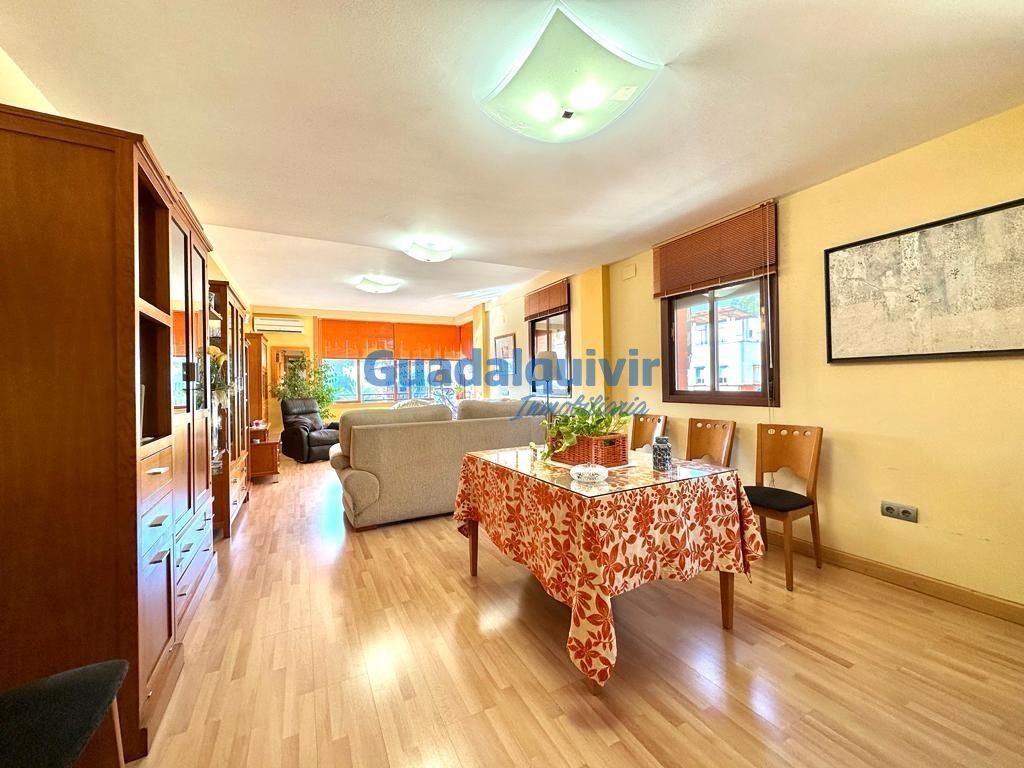 Living room of Flat for sale in  Sevilla Capital  with Air Conditioner, Heating and Terrace