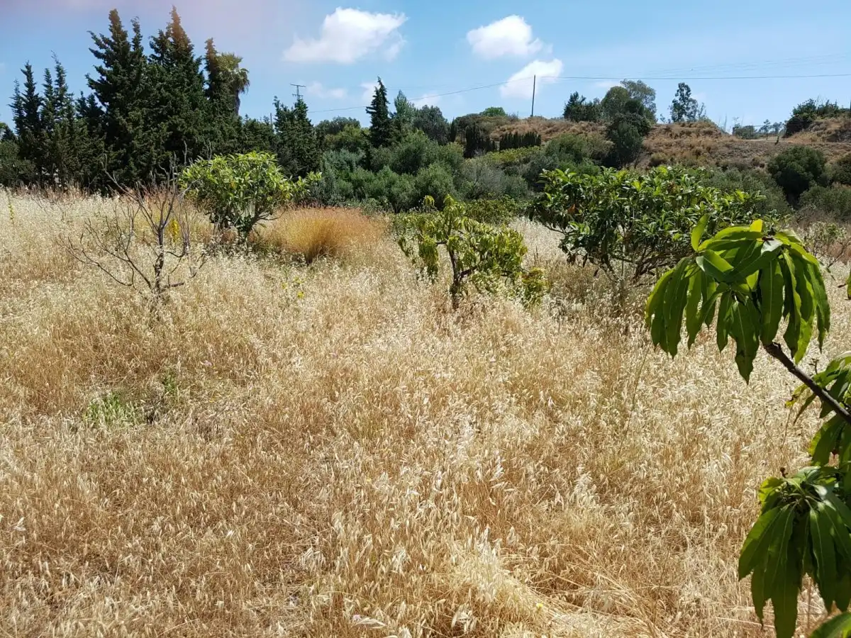 Casa rústica en venta en Selwo, imagen 6