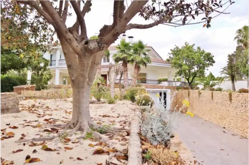 Vista exterior de Casa o xalet en venda en Alicante / Alacant amb Aire condicionat, Calefacció i Jardí privat