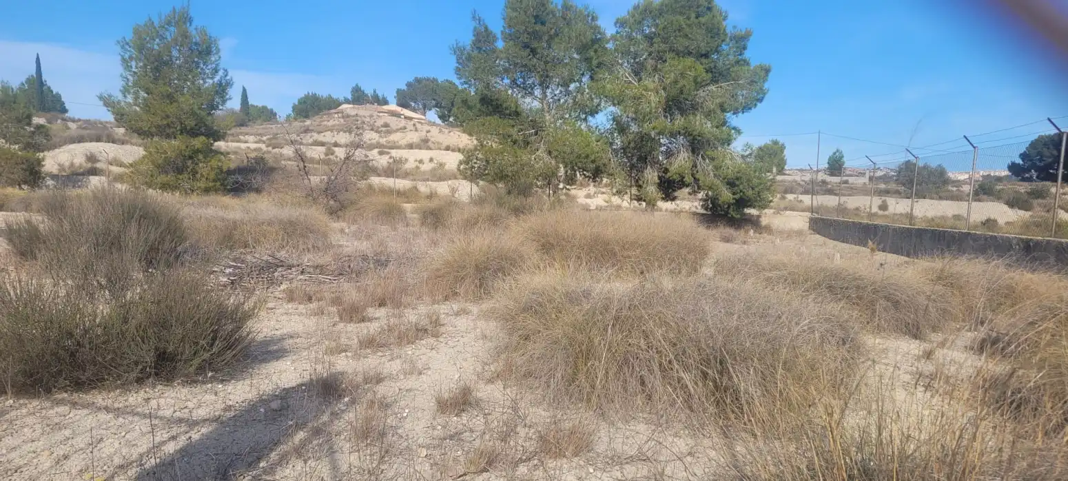 Land for sale in Molina de Segura