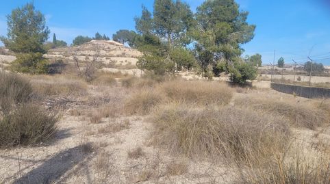 Photo 2 of Land for sale in Molina de Segura - Camino del Panderón, 31, Fátima - El Panderón, Molina de Segura