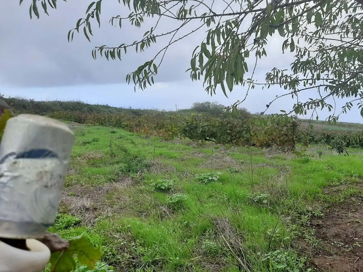 Terreny rústic en venda a CRUZ DE LEANDRO, imagen 17