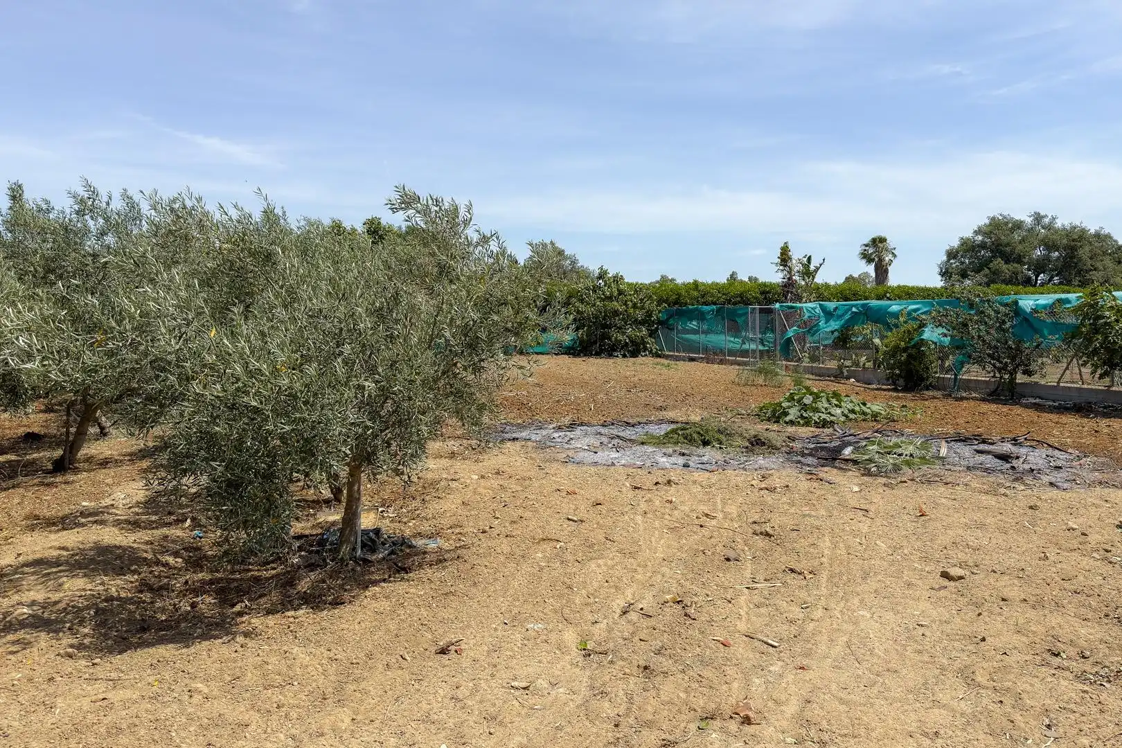 Wohnbaugrundstück zum Verkauf in El Retiro - Parque Atlántico - Ronda este, imagen 65