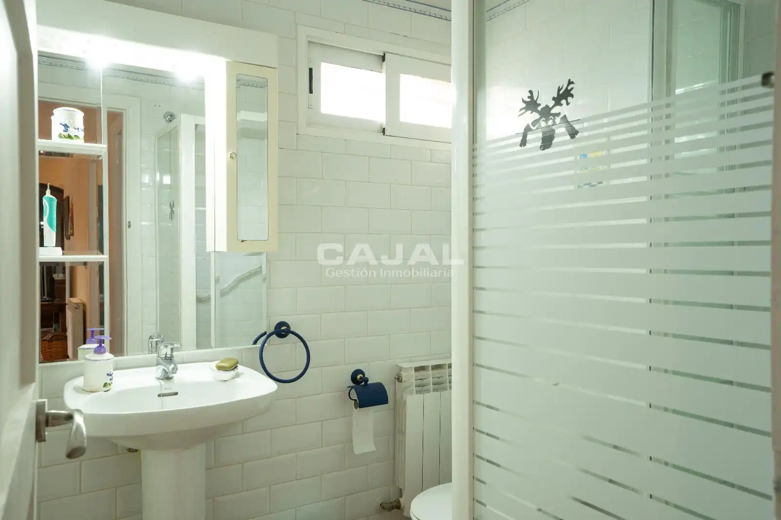 Bathroom of Houses for sale in Fresno de Cantespino  with Heating