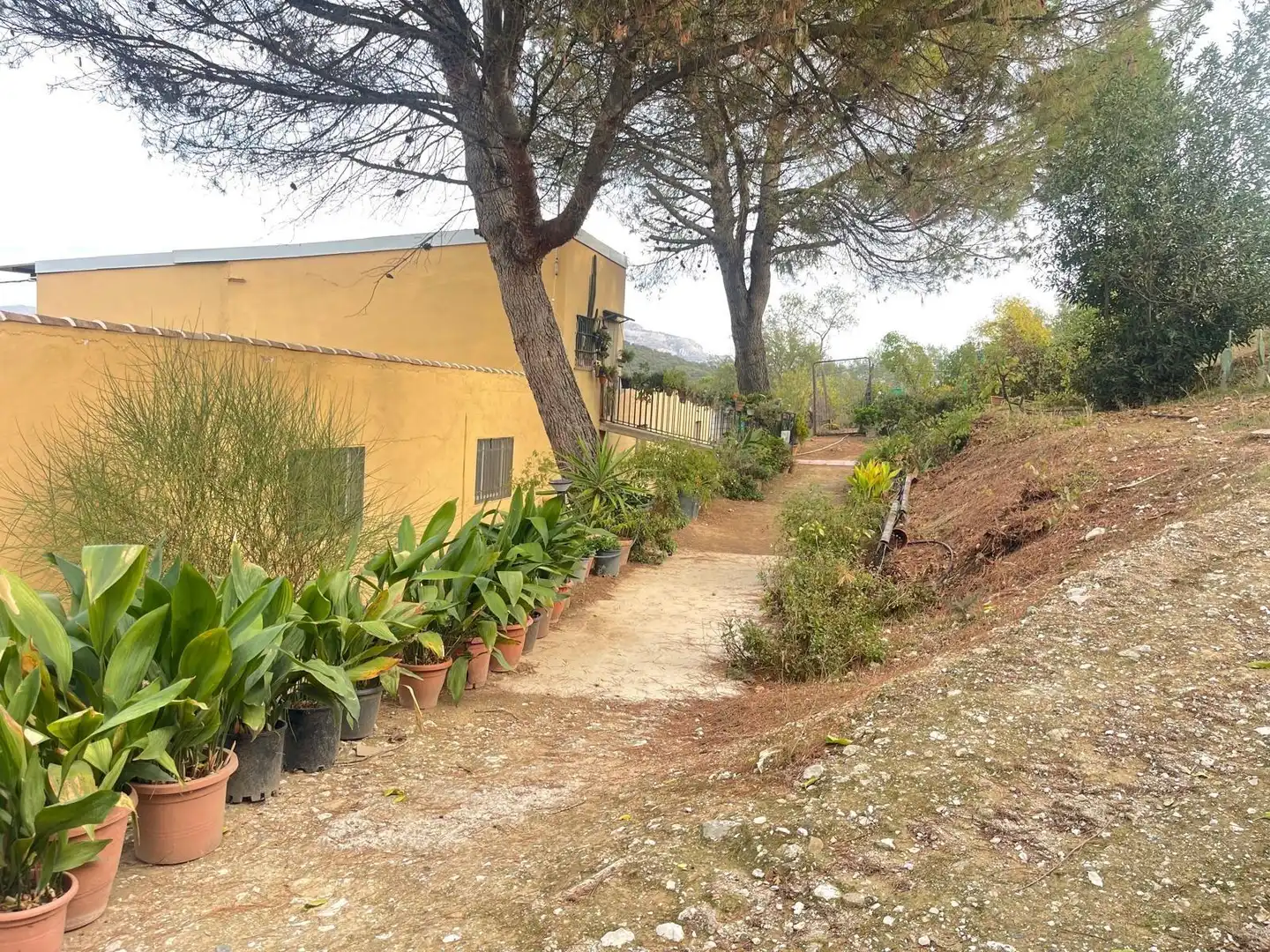 Terreni e lotti in vendita a Archidona, imagen 15