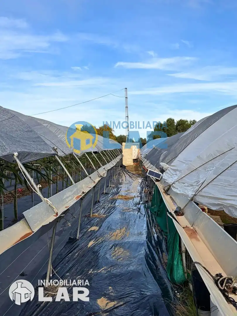 Jardín de Terreno en venta en San Juan del Puerto
