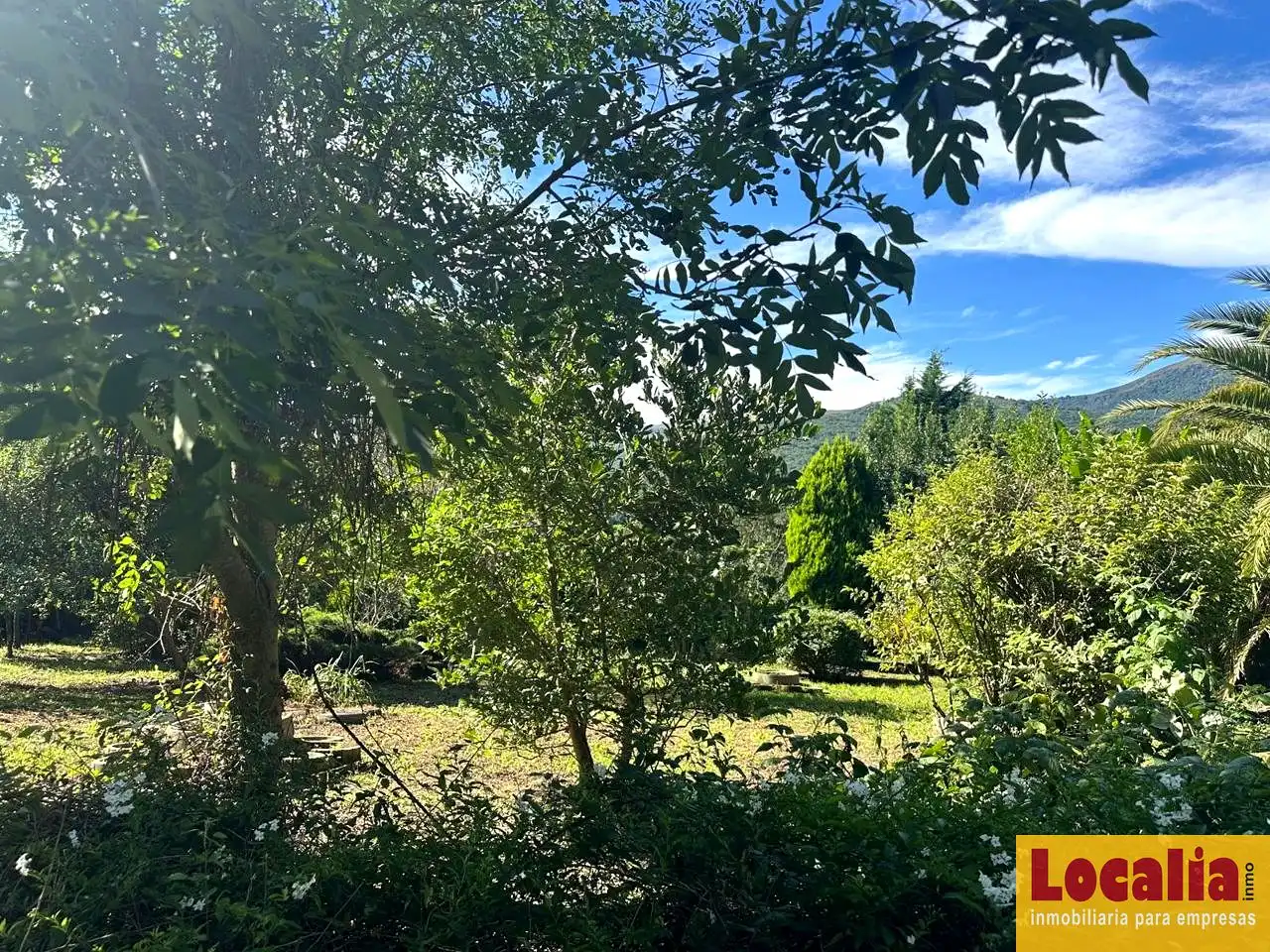 Rural land for sale in Coo-Los Tocios