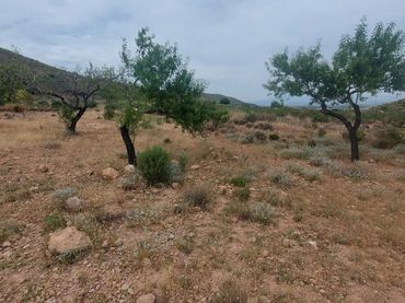 Terreno rustico in vendita a La Pinilla - Las Palas