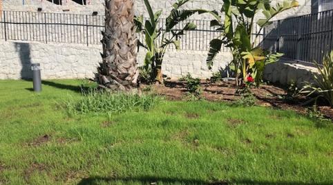 Photo 4 of Flat for sale in Calle de Celia Lozano, Nou Altabix, Alicante