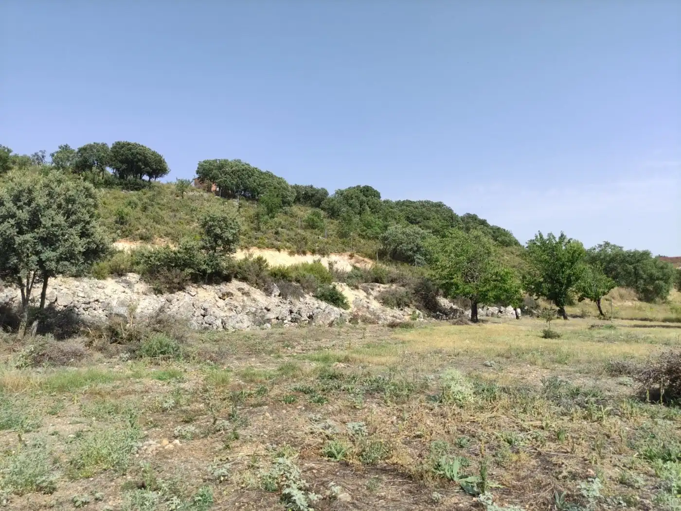 Terreny residencial en venda a Loranca de Tajuña, imagen 43