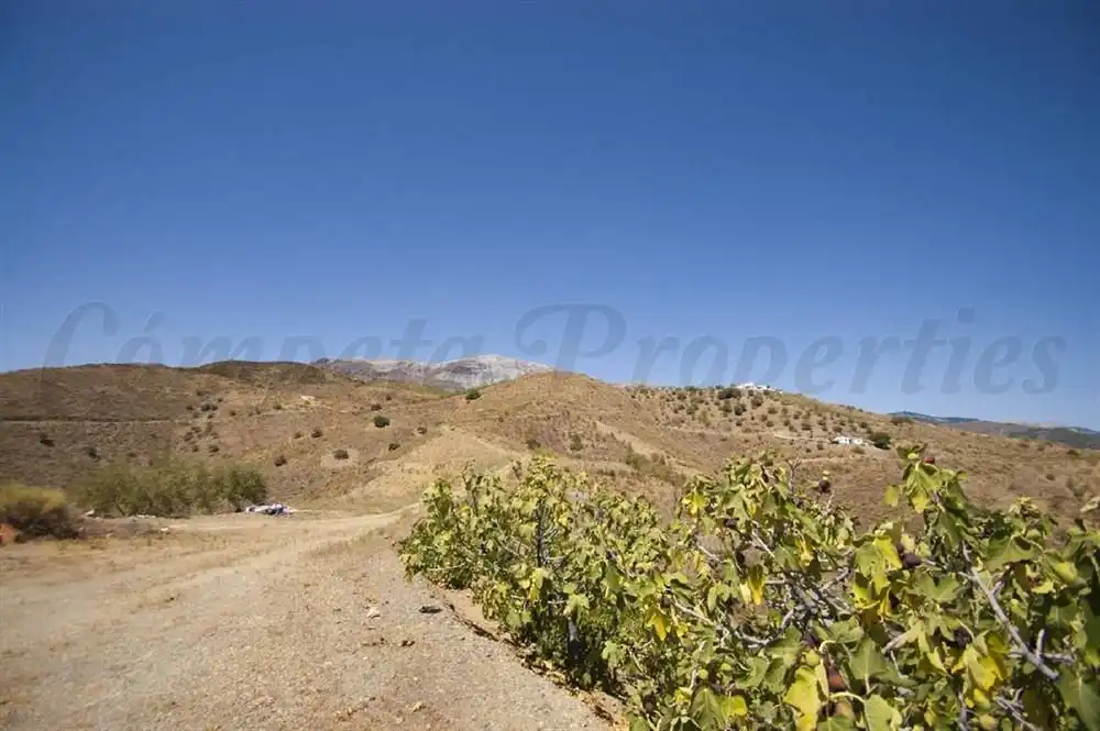 Terreno rústico en venta en Sedella, imagen 4