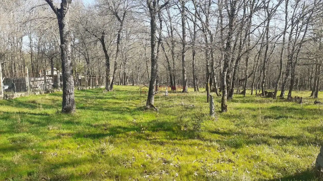 Terreni e lotti in vendita a Paderne de Allariz, imagen 8