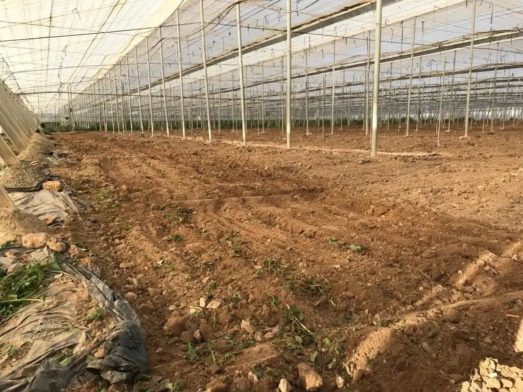 Terreny rústic en venda a Uleila del Campo, imagen 8