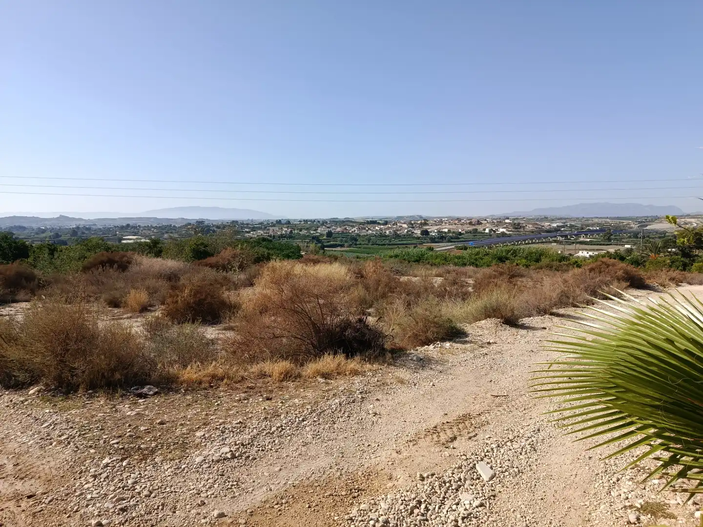 Rural land for sale in Calle Torrejunco 5, imagen 7