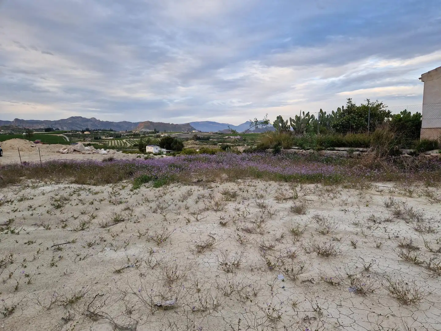 Land for sale in Villanueva del Río Segura