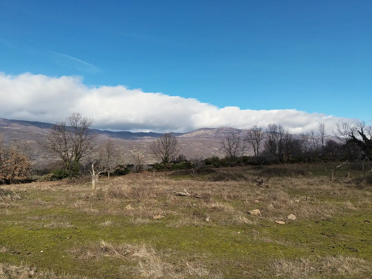 Terreno en venta en Casas del Castañar