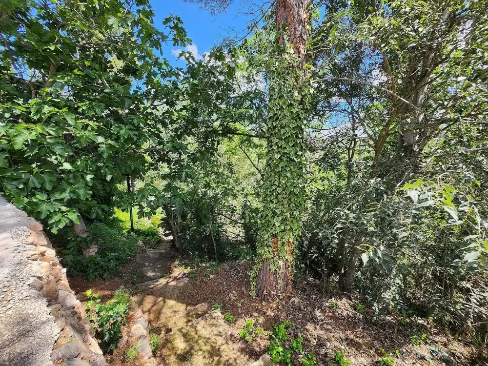 Casa o chalet en venta en Jalance