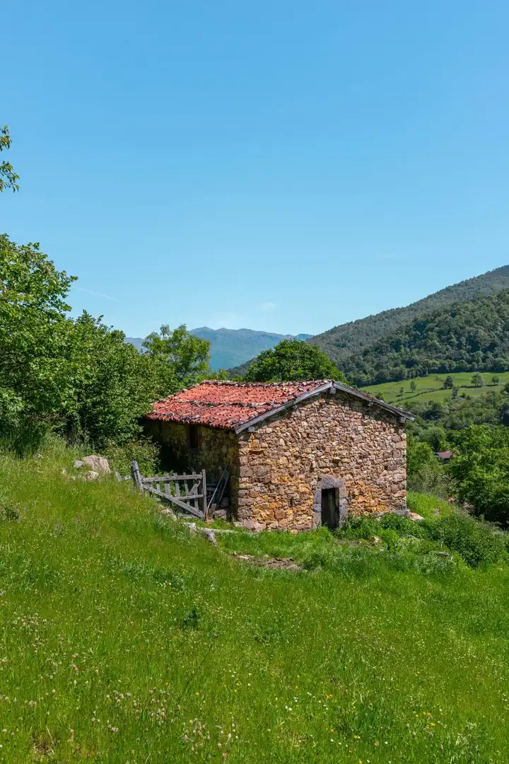 Vista exterior de Casa o chalet en venta en Quirós