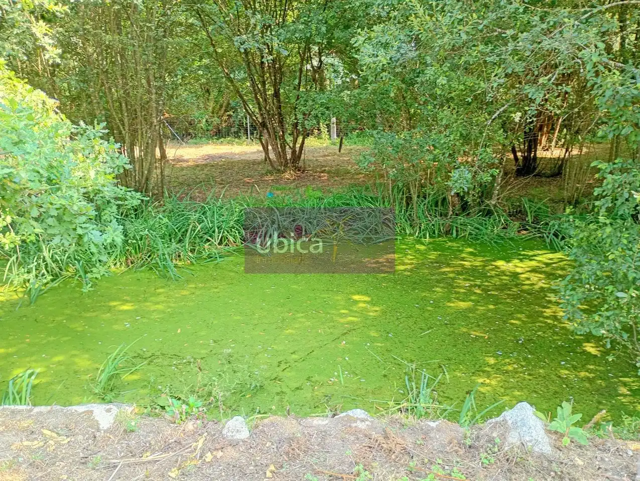House with garden for sale in Salceda de Caselas, imagen 33